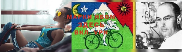 spice Горнозаводск