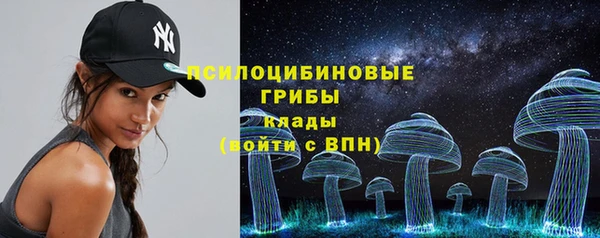 spice Горнозаводск