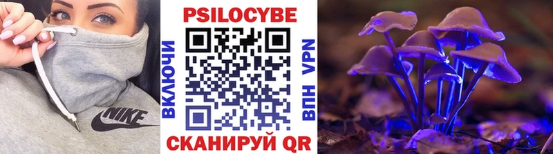 Галлюциногенные грибы Cubensis  где купить наркотик  Шарыпово 